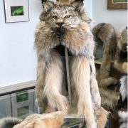 Lynx Head Hat $525